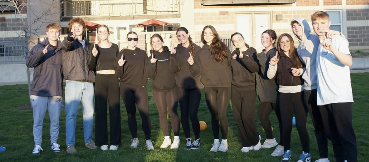 War of the Roses Competition